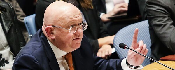 Постоянный представитель РФ при ООН Василий Небензя - Sputnik Армения
