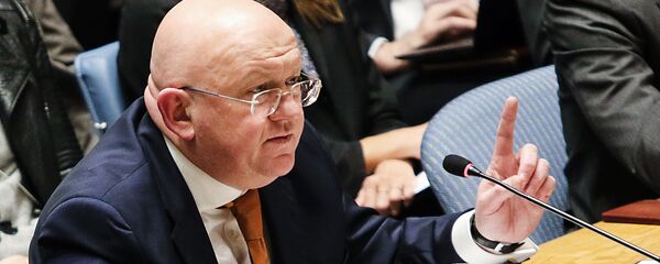 Постоянный представитель Российской Федерации при Организации Объединённых Наций Василий Небензя Постоянный представитель Российской Федерации при Организации Объединённых Наций Василий Небензя - Sputnik Армения