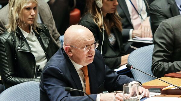 Заседание Совета безопасности ООН - Sputnik Արմենիա