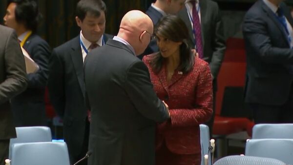 Василий Небензя и Никки Хейли тепло приветствовали друг друга в ООН - Sputnik Армения