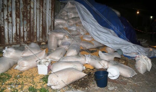 Комбикорм - Sputnik Армения