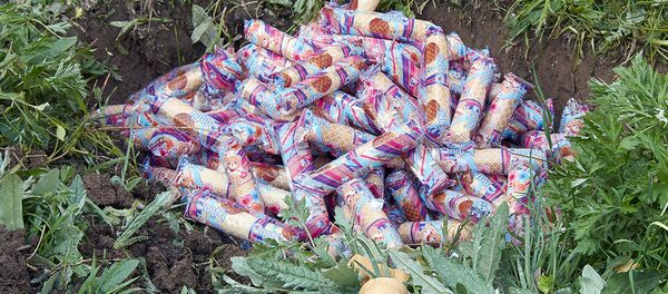 Партия некачественного мороженого - Sputnik Армения