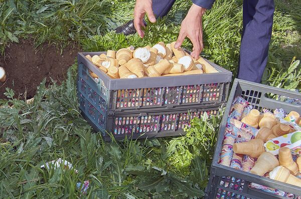 Партия некачественного мороженого Партия некачественного мороженого - Sputnik Армения