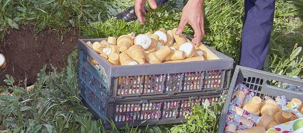 Партия некачественного мороженного Партия некачественного мороженного - Sputnik Արմենիա