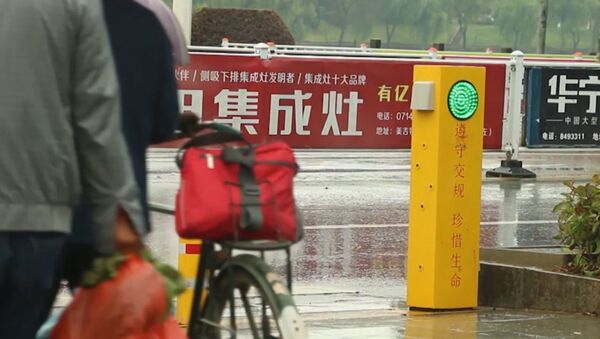 В Китае установили светофор, поливающий водой пешеходов-нарушителей - Sputnik Армения