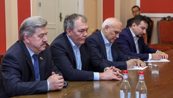 Встреча парламентской делегации РФ и фракции Елк - Sputnik Արմենիա