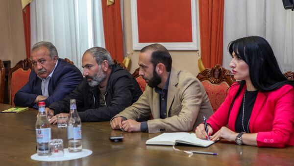 Встреча парламентской делегации РФ и фракции Елк - Sputnik Армения