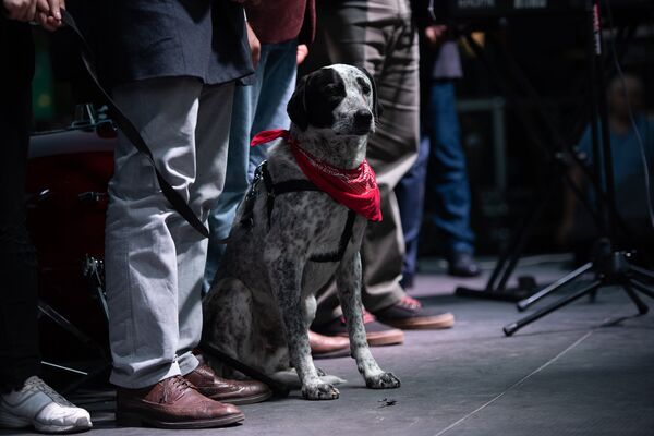 Бой за туриста, или Что именно привлекает в Армении россиян - Sputnik Армения