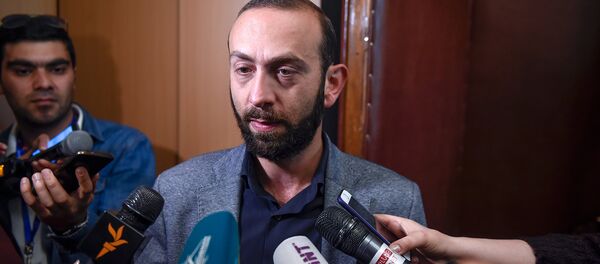 Депутат оппозиционной фракции Елк в НС Арарат Мирзоян (30 апреля 2018). Еревaн - Sputnik Армения