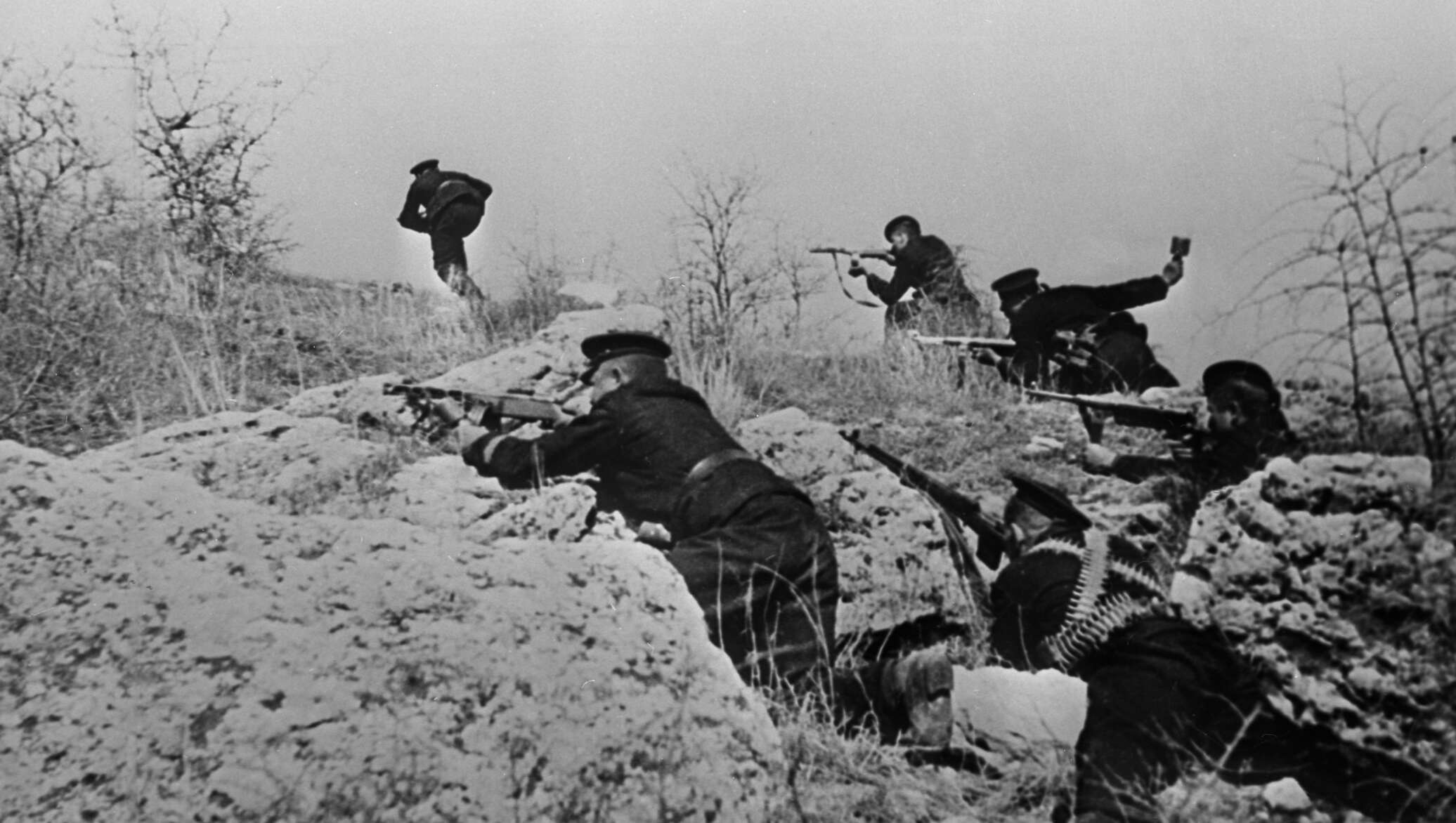 Данная Фотография Была