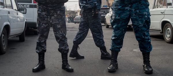 Полиция, Служба безопасности Полиция, Служба безопасности - Sputnik Արմենիա