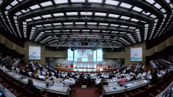ԵԱՀԿ ԽՎ նիստերի դահլիճը - Sputnik Արմենիա