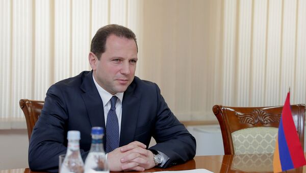 Министр обороны Армении Давид Тоноян - Sputnik Արմենիա