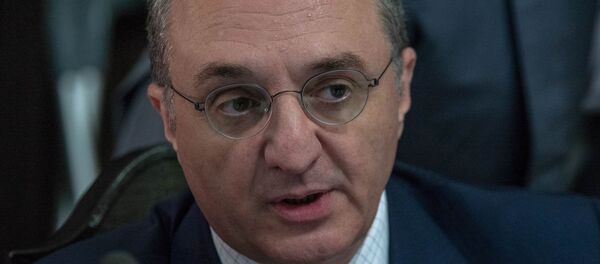 Министр иностранных дел Армении Зограб Мнацаканян на заседании правительства (17 мая 2018). Еревaн - Sputnik Армения