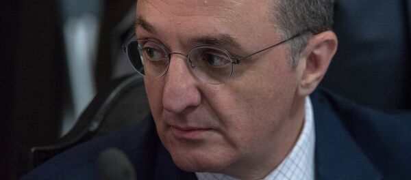 Министр иностранных дел Армении Зограб Мнацаканян на заседании правительства (17 мая 2018). Еревaн - Sputnik Армения