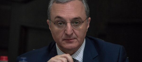Министр иностранных дел Армении Зограб Мнацаканян на заседании правительства (17 мая 2018). Еревaн - Sputnik Армения