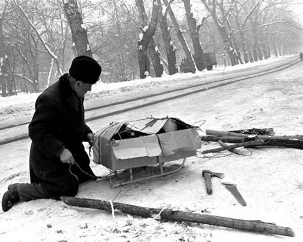 Человек собирает дрова Человек собирает дрова - Sputnik Արմենիա