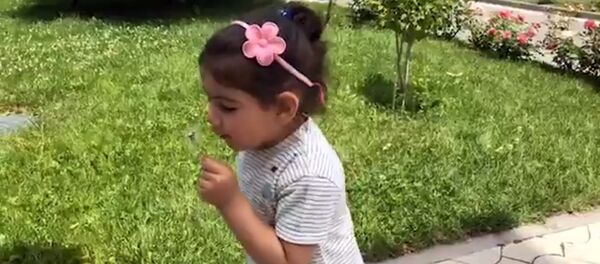 Арпи Николовна Пашинян во дворе правительственного особняка премьер-министра Армении Арпи Николовна Пашинян во дворе правительственного особняка премьер-министра Армении - Sputnik Արմենիա