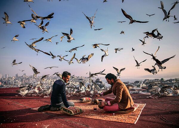 Фотография Завтрак на привале (History on the Road Breakfast) Себнем Коскун (Турция). Моя Планета, одиночные фотографии. Фотография Завтрак на привале (History on the Road Breakfast) Себнем Коскун (Турция). Моя Планета, одиночные фотографии. - Sputnik Армения