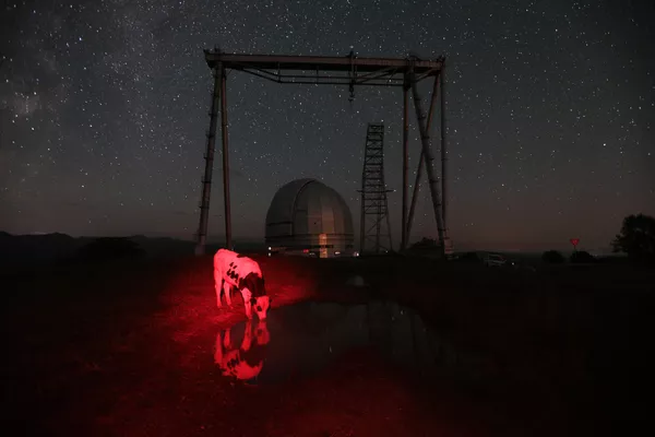 Снимок Красная корова фотографа Марии Плотниковой из России, вошедший в шорт-лист лауреатов конкурса им. Андрея Стенина Снимок Красная корова фотографа Марии Плотниковой из России, вошедший в шорт-лист лауреатов конкурса им. Андрея Стенина - Sputnik Армения