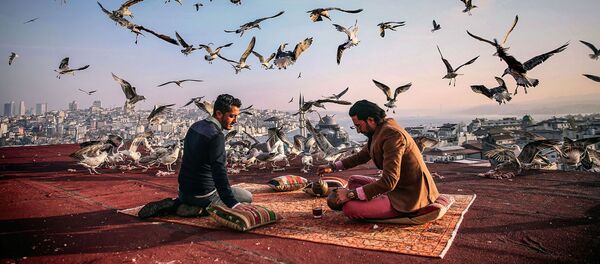 Снимок Завтрак на привале фотографа Себнема Коскуна, вошедший в шорт-лист лауреатов конкурса им. Андрея Стенина - Sputnik Армения