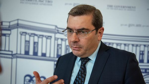 Председатель Комитета государственных доходов Армении Давид Ананян - Sputnik Արմենիա