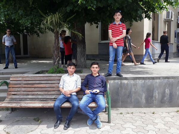 Иджеванские подростки Григор и Оник - Sputnik Армения