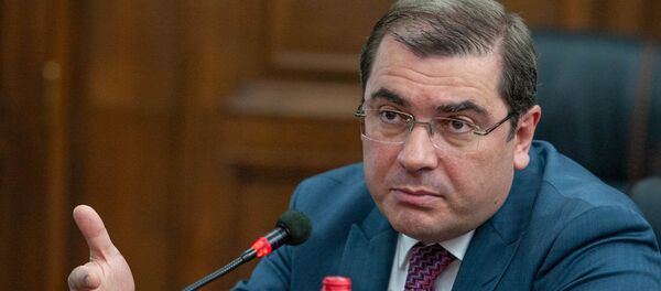 Председатель КГД Армении Давид Ананян в парламенте (29 мая 2018). Еревaн Председатель КГД Армении Давид Ананян в парламенте (29 мая 2018). Еревaн - Sputnik Армения
