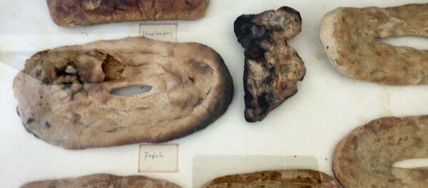 Музей истории имени Петроса Нахапетяна в селе Паник Ширакской области - Sputnik Армения