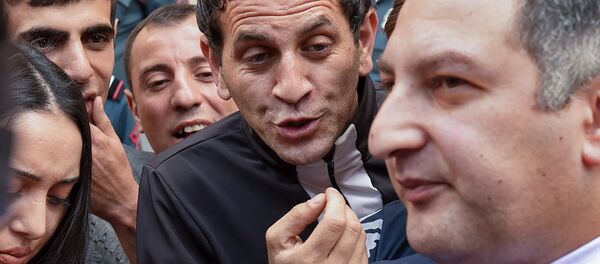 Акция протеста представителей компаний, осуществляющих пассажирксие перевозки из Армении в Россию (4 июня 2018). Еревaн - Sputnik Армения