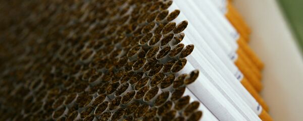 В цехе табачной фабрики - Sputnik Արմենիա