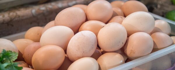 Яйцо, яйца - Sputnik Армения