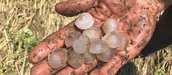 Град - Sputnik Արմենիա