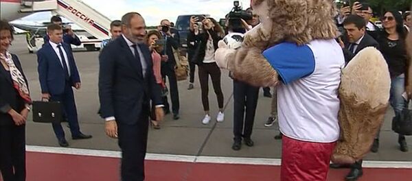 Վարչապետ Նիկոլ Փաշինյանը Ժամանել է Մոսկվա ու Զաբիվակայի հետ գնդակ խաղացել Վարչապետ Նիկոլ Փաշինյանը Ժամանել է Մոսկվա ու Զաբիվակայի հետ գնդակ խաղացել - Sputnik Արմենիա