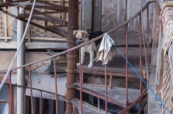 Дом священника Дом священника - Sputnik Армения