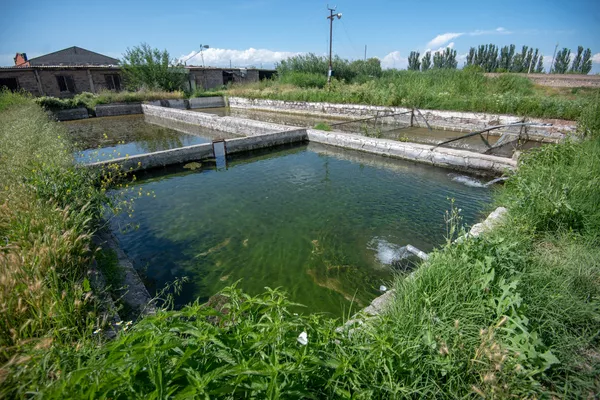 Бассейны рыбного хозяйства, село Гай, Армавирская область Бассейны рыбного хозяйства, село Гай, Армавирская область - Sputnik Армения