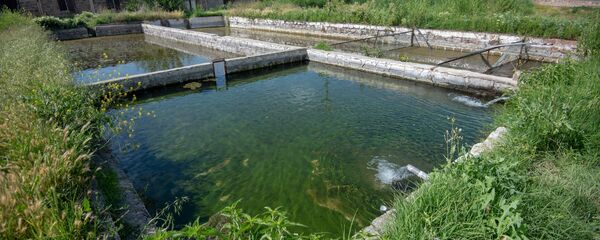 Бассейны рыбного хозяйства, село Гай, Армавирская область - Sputnik Армения