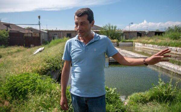 Фермер Гамлет Амбарцумян, село Гай, Армавирская область - Sputnik Армения