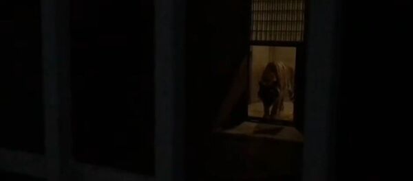 Тигр генерала Манвела Григоряна был доставлен в Ереванский зоопарк Тигр генерала Манвела Григоряна был доставлен в Ереванский зоопарк - Sputnik Армения