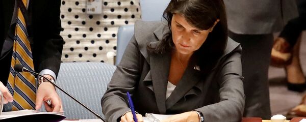 Заседание совета безопасности ООН в Нью-Йорке - Sputnik Армения