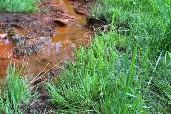 Источник Глаз змеи - Sputnik Արմենիա