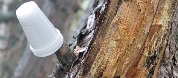 Пикник по-армянски - Sputnik Армения