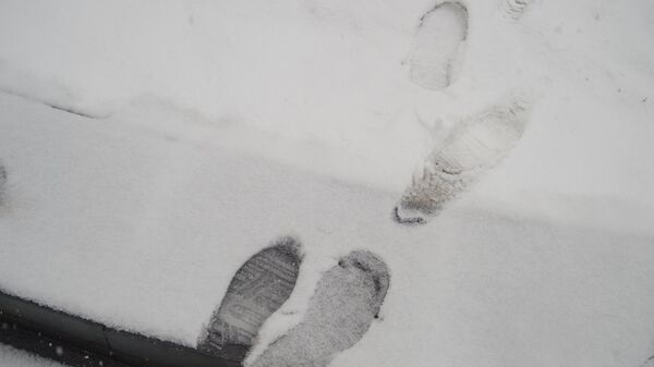 Зима в Ереване - Sputnik Армения