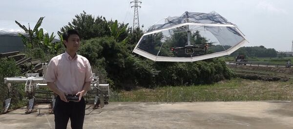 Թռչող անձրևանոց Թռչող անձրևանոց - Sputnik Արմենիա