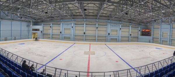 Школа фигурного катания в Ереване - Sputnik Армения