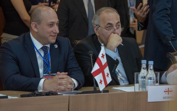Грузинская делегация на 38-ом заседании глав МИД ОЧЭС (27 июня 2018). Еревaн - Sputnik Армения