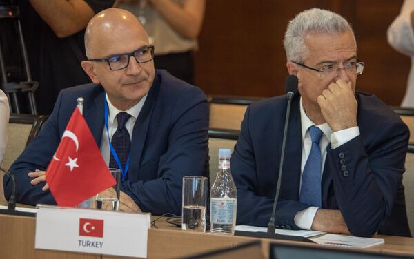 Турецкая делегация на 38-ом заседании глав МИД ОЧЭС (27 июня 2018). Еревaн - Sputnik Армения