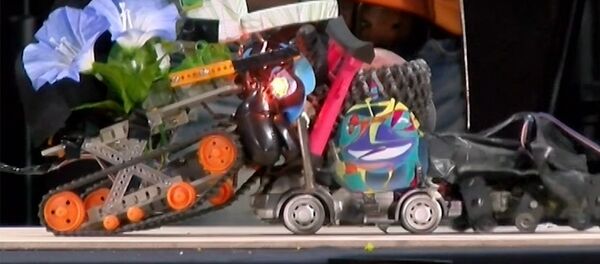 Роботы-сумоисты - Sputnik Армения