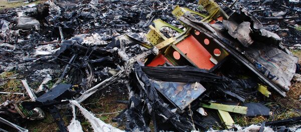 Место крушения малайзийского Boeing 777 Место крушения малайзийского Boeing 777 - Sputnik Армения
