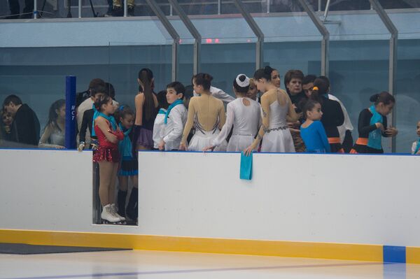 Открытие Ледовой арены Ирины Родниной в Ереване Открытие Ледовой арены Ирины Родниной в Ереване - Sputnik Армения